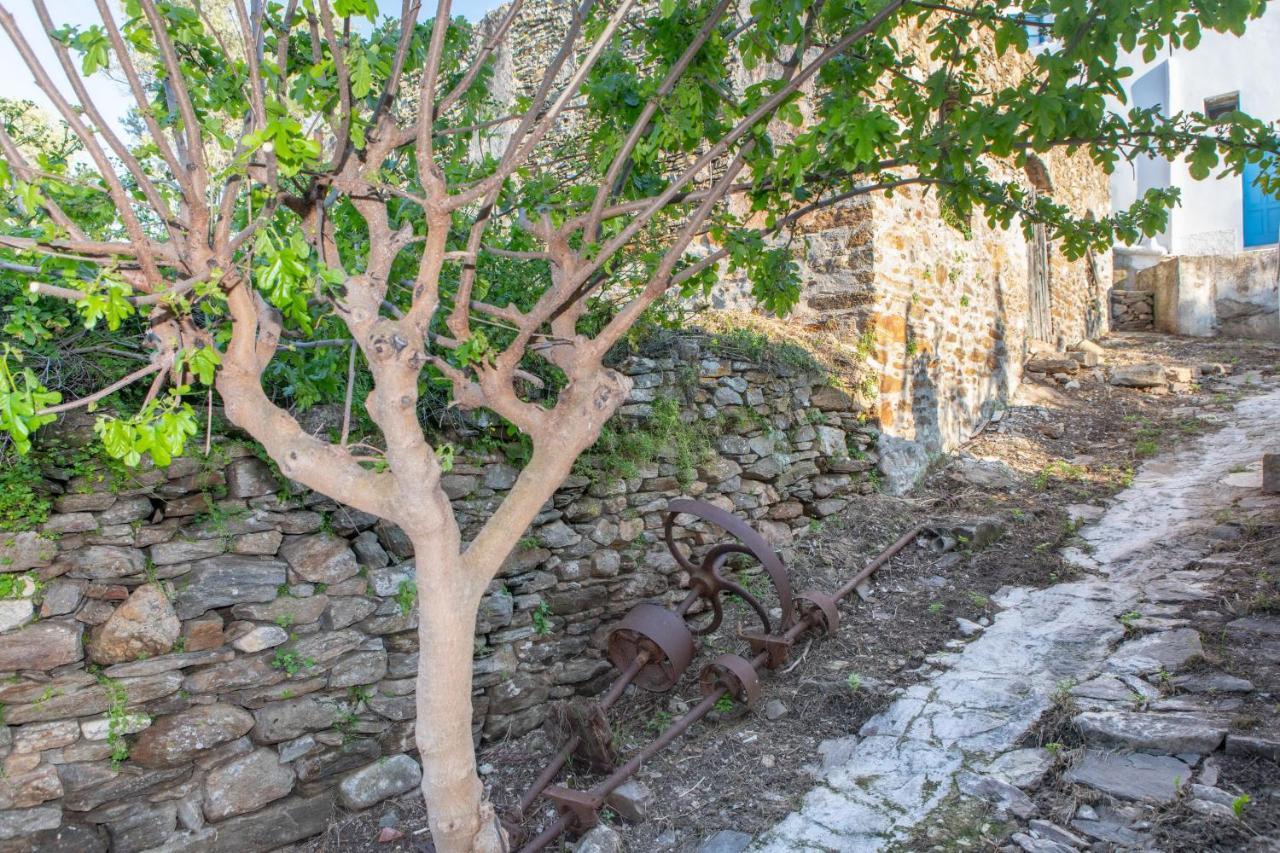 Villa Matakia Ano Potamia Экстерьер фото