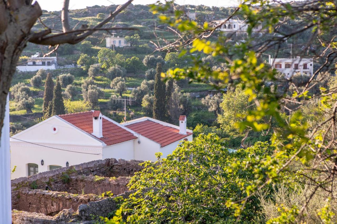 Villa Matakia Ano Potamia Экстерьер фото